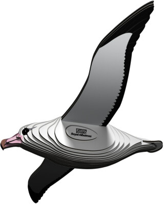 EUGY Albatros královský 3D kartonová skládačka - 