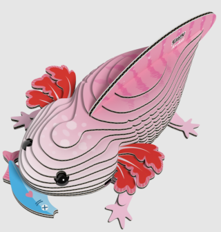 Axolotl 3D kartonová skládačka - 