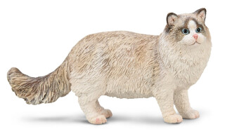 Kočka ragdoll - 