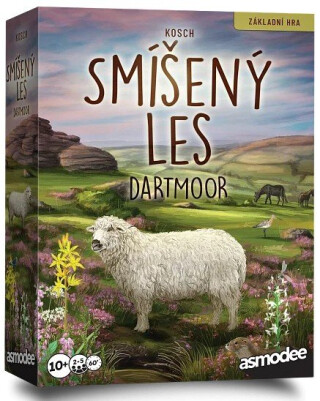 Smíšený les: Dartmoor - 