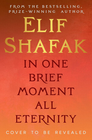 In One Brief Moment All Eternity - Elif Shafaková
