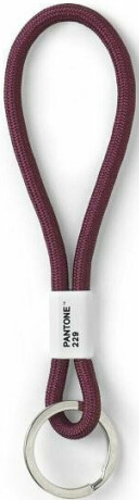 PANTONE Poutko na klíče S - Aubergine 229 - neuveden