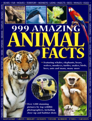 999 Amazing Animal Facts - Armadillo