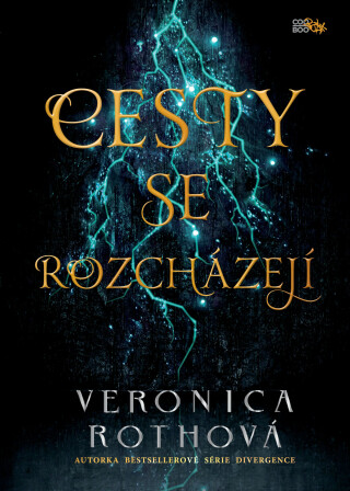 Cesty se rozcházejí - Veronica Roth
