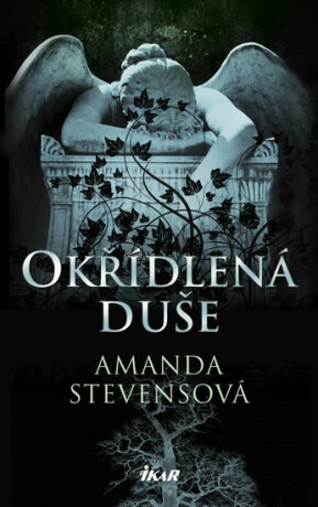 Okřídlená duše - Amanda Stevensová