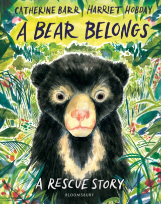 A Bear Belongs - Catherine Barr