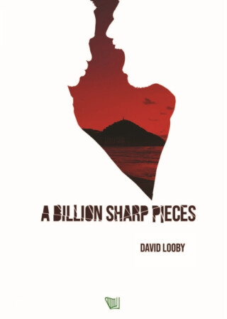 A Billion Sharp Pieces - David Looby