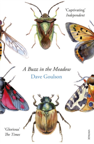 A Buzz in the Meadow - Dave Goulson