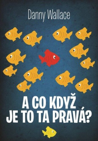 A co když je to ta pravá? - Danny Wallace