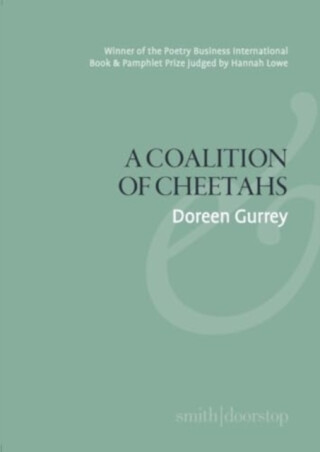 A Coalition of Cheetahs - Doreen Gurrey