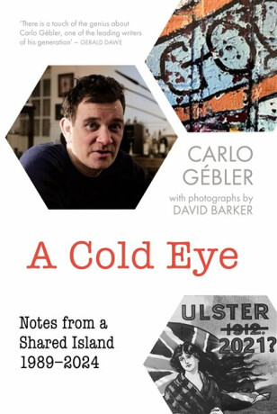 A Cold Eye - Carlo Gebler