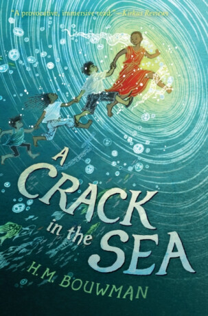 A Crack in the Sea - HM Bouwman