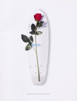 Curious Catalogue - Michael Leon