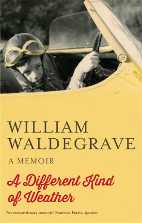 A Different Kind Of Weather - William Waldegrave