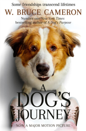 Dog´s Journey - William Bruce Cameron
