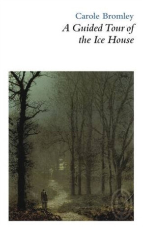 A Guided Tour of the Ice House - 