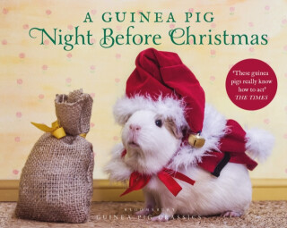 A Guinea Pig Night Before Christmas - Clement Clarke Moore,Tess Newall