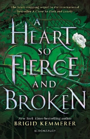 A Heart So Fierce and Broken - Brigid Kemmererová