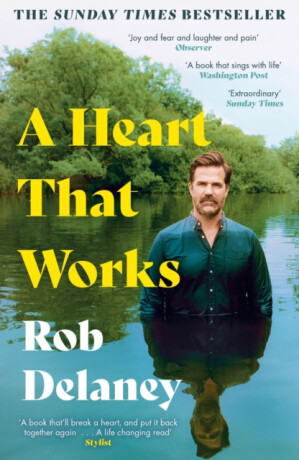 A Heart That Works - Rob Delaney