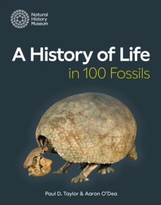 A History of Life in 100 Fossils - Paul D. Taylor,Aaron O'Dea