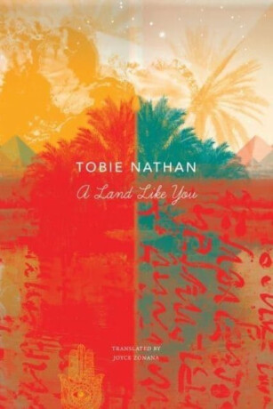 A Land Like You - Tobie Nathan,Joyce Zonana