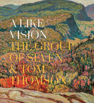 A Like Vision - 