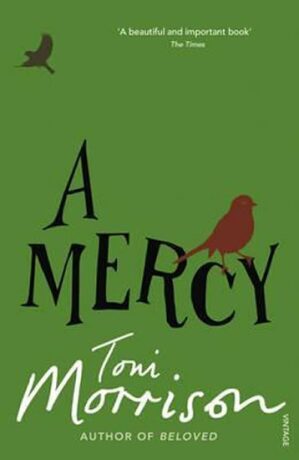 A Mercy - Toni Morrisonová