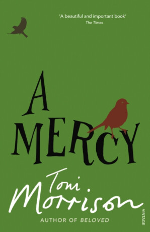 A Mercy - Toni Morrisonová