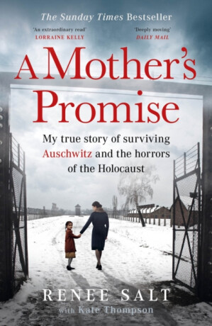 A Mother's Promise - Kate Thompson,Renee Salt