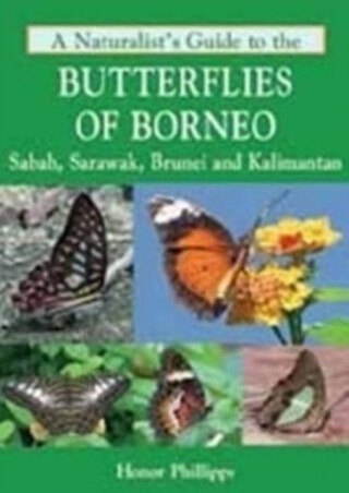 A Naturalist's Guide to the Butterflies of Borneo - Honor Phillipps