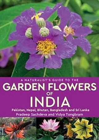 A Naturalist's Guide to the Garden Flowers of India - Pradeep Sachdeva,Vidya Tongbram