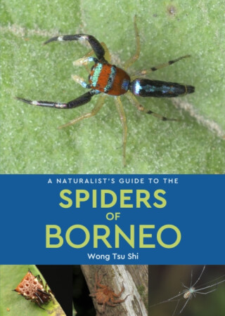 A Naturalist's Guide to the Spiders of Borneo - Wong Tsu Shi