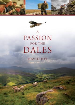 A Passion For The Dales - David Joy