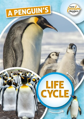 A Penguin's Life Cycle - Madeline Tyler