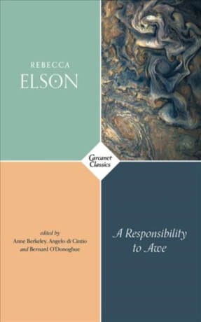 A Responsibility to Awe - Rebecca Elson