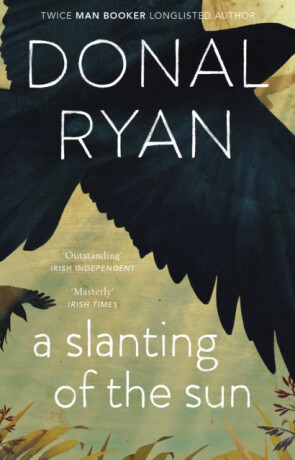 A Slanting of the Sun: Stories - Donal Ryan