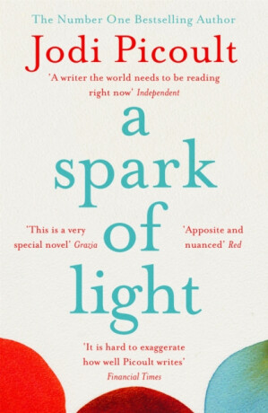 Spark of Light - Jodi Picoultová