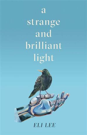 A Strange and Brilliant Light: Winner of the Writers' Guild Best First Novel Award - Eli Lee