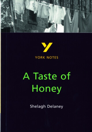 A Taste of Honey York Notes GCSE English Literature Study Guide - for 2026, 2027 exams - Bernadette Dyer