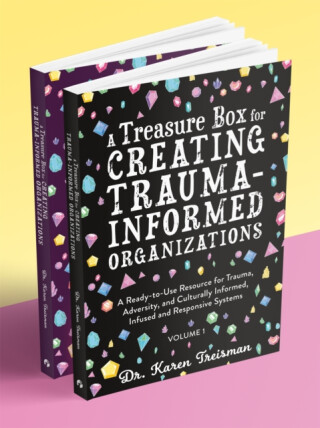 A Treasure Box for Creating Trauma-Informed Organizations - Karen Treisman
