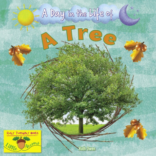 A Tree - Ruth Owen