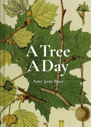 A Tree A Day - Amy-Jane Beer