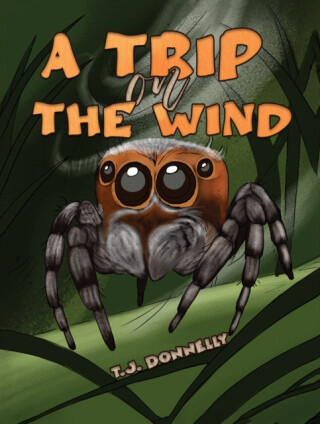 A Trip on the Wind - T.J. Donnelly