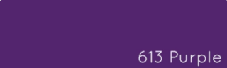 Jacquard Acid Dyes - 613 Purple - 
