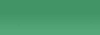 Acrylic EF 37 ml /2 - 220 Veronese green - 
