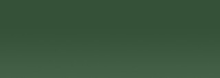 Acrylic EF 37 ml /2 - 221 Hooker´s green - 