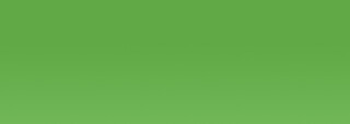 Acrylic MAT PUB 140 ml 15 Bright green - 