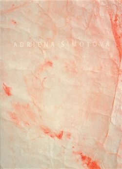 Adriena Šimotová: Hosté, tvorba z let 2000 - 2006 - 