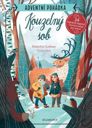 Adventní pohádka Kouzelný sob - 