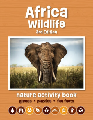 Africa Wildlife Nature Activity Book - James Kavanagh